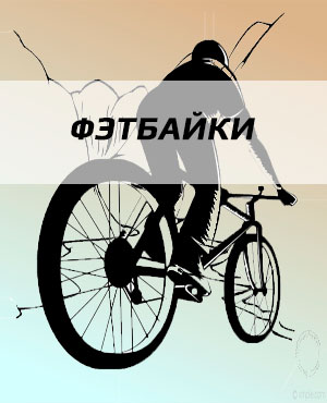 Фэтбайки в Мытищах